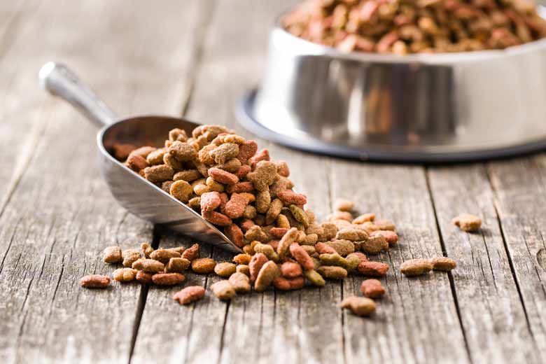 Food allergies and food intolerance