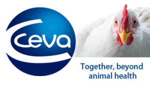 ceva_6