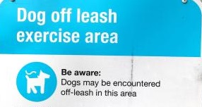 off leash areas cropped