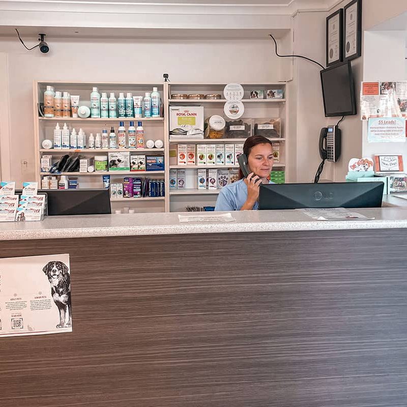 Mermaid---Clinic-1