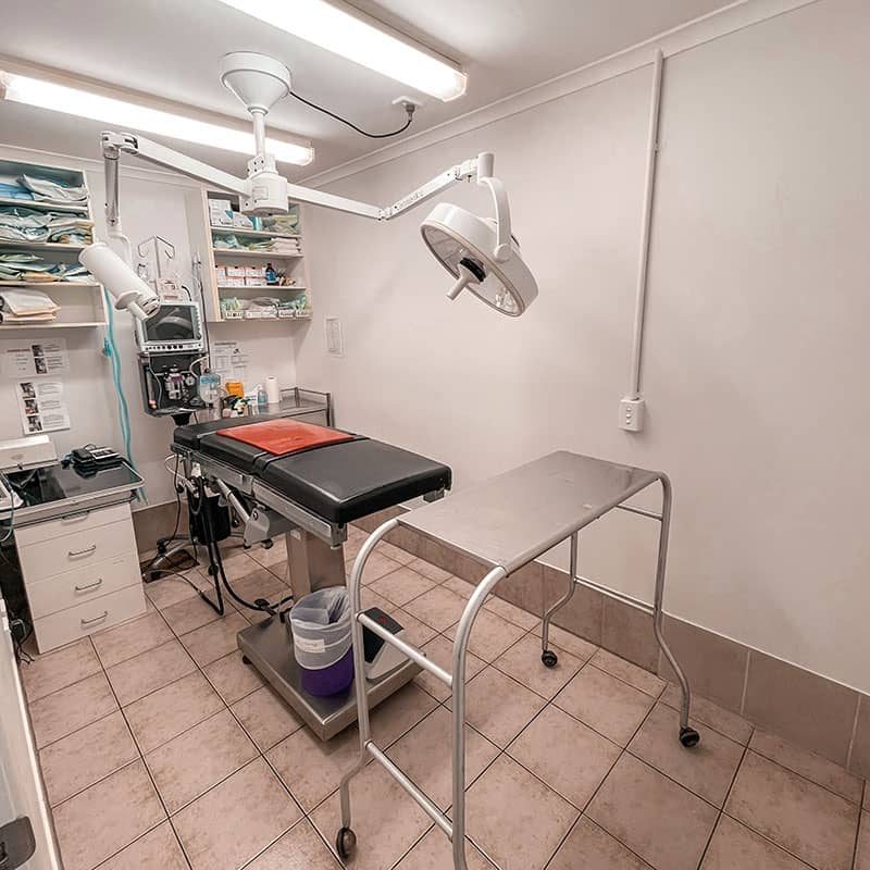 Mermaid---Clinic-6